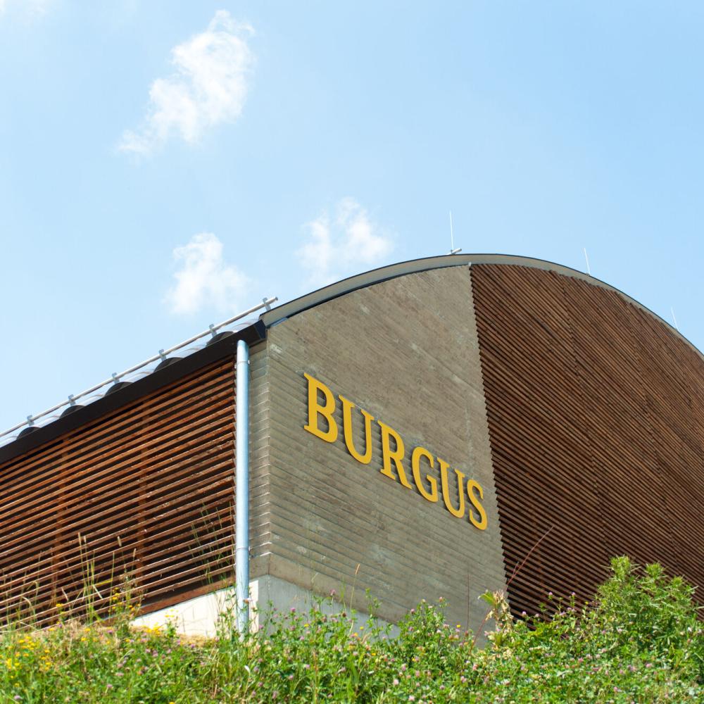 Oberranna Moderner Schutzbau über den Resten des Quadriburgus von Oberranna mit gebogener Holz‑ und Betonfassade und gelbem Schriftzug „BURGUS“, umgeben von grüner Böschung