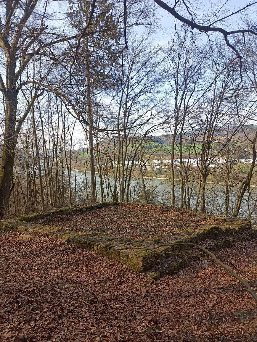 Die erhaltenen Reste des römischen Wachturms vom Hirschleitengraben: quadratische Grundmauern aus moosbedeckten Steinquadern auf einem bewaldeten Hang; durch die Bäume ist die Donau sichtbar.